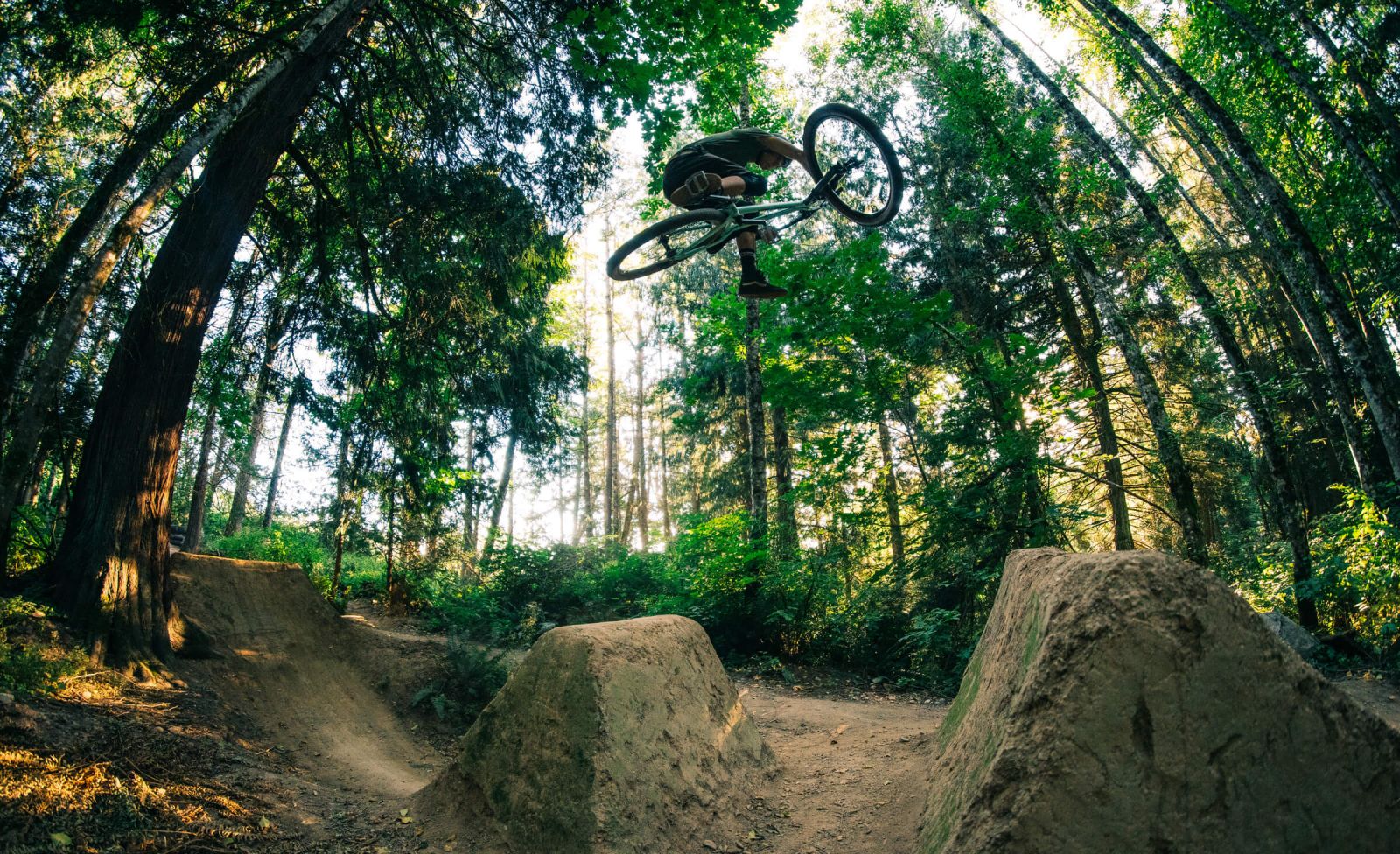 Transition PBJ