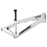 Identiti Frame - Krisis